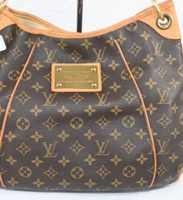 Louis Vuitton Galareia Shoulder Bag/Hobo (LV282)